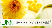 {A}R[fBl[^[