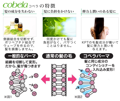 cobela コベラの特徴